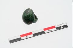Foto von Bronzeniet (NHMW-PRAE-024382)